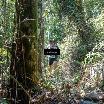 Runner Photo 5195436
