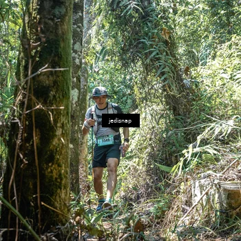 Runner Photo 5195478