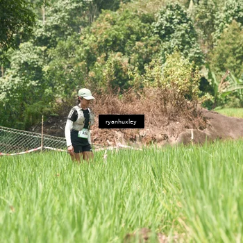 Runner Photo 5195525