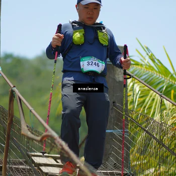 Runner Photo 5195684