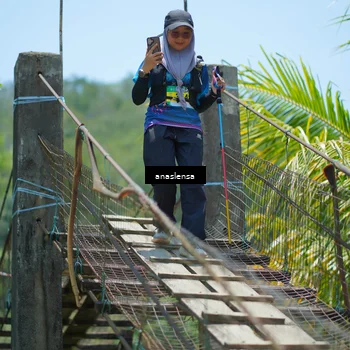Runner Photo 5195770