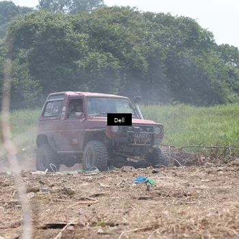Runner Photo 5195855