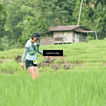 Runner Photo 5196997