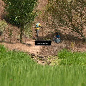 Runner Photo 5197220