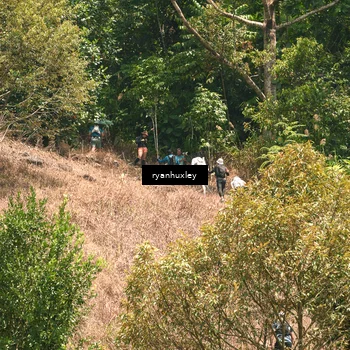 Runner Photo 5197224