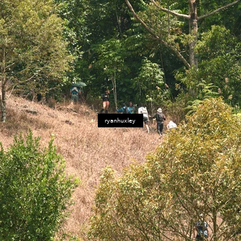 Runner Photo 5197247