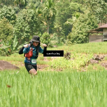 Runner Photo 5197437