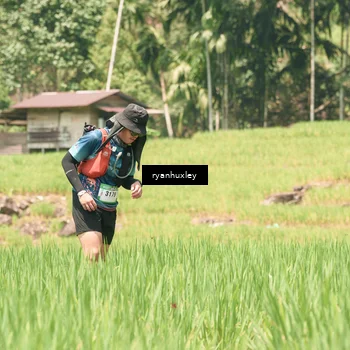 Runner Photo 5197513