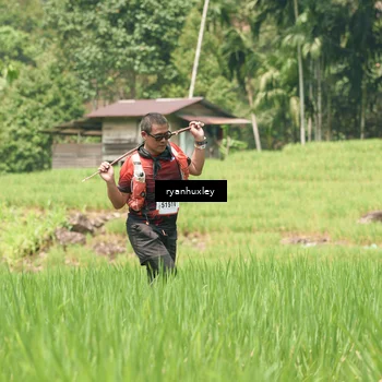 Runner Photo 5198037