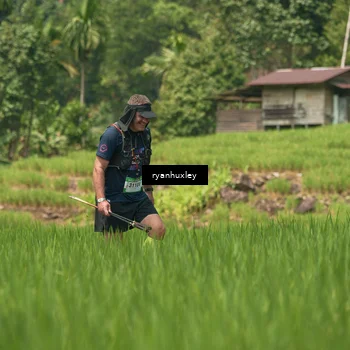 Runner Photo 5198058