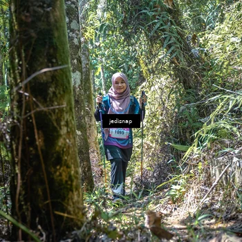 Runner Photo 5200164