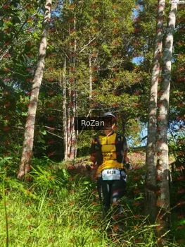 Runner Photo 5201