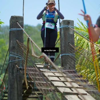 Runner Photo 5201119