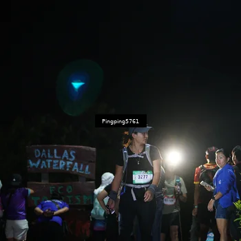 Runner Photo 5201356