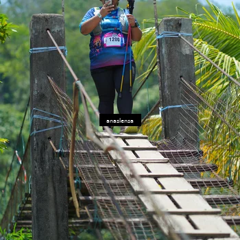 Runner Photo 5201926