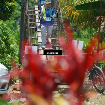 Runner Photo 5202242