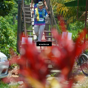 Runner Photo 5202279