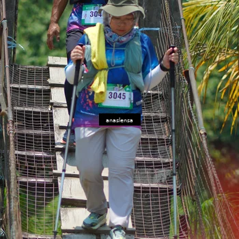 Runner Photo 5202281