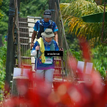Runner Photo 5202298