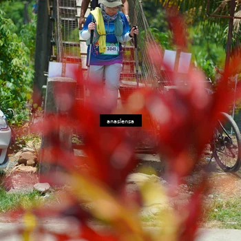 Runner Photo 5202299