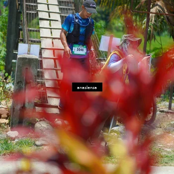 Runner Photo 5202301