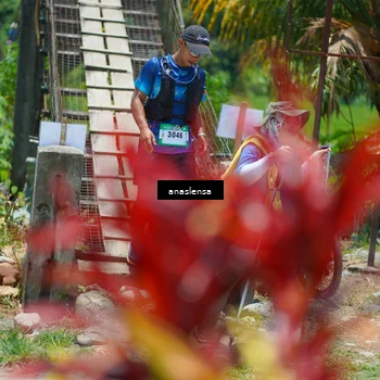 Runner Photo 5202304