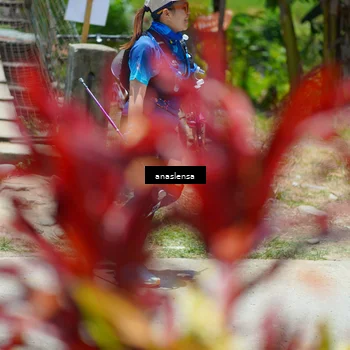 Runner Photo 5202551