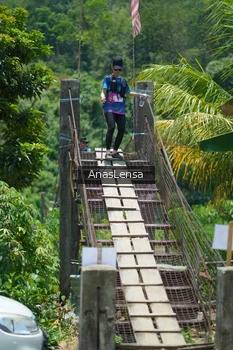 Runner Photo 5202993