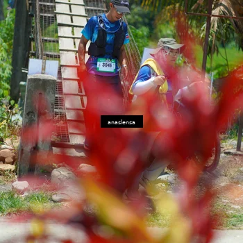 Runner Photo 5203221