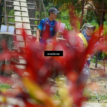 Runner Photo 5203222