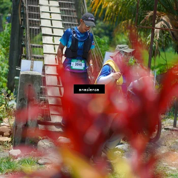 Runner Photo 5203228