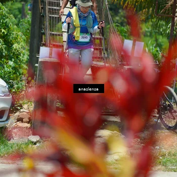 Runner Photo 5203307
