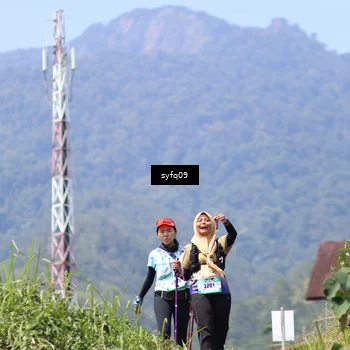 Runner Photo 5203471