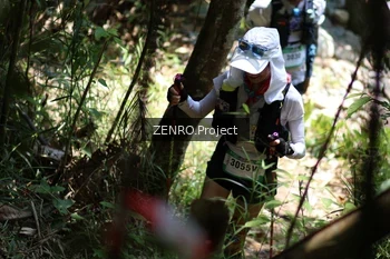 Runner Photo 5203886