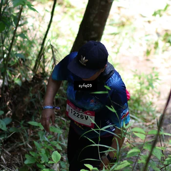 Runner Photo 5203998
