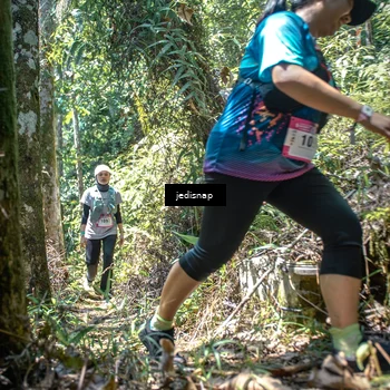 Runner Photo 5204067