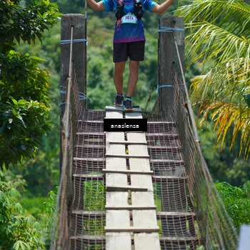 Runner Photo 5204153
