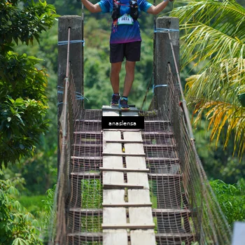 Runner Photo 5204160
