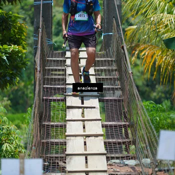 Runner Photo 5204166