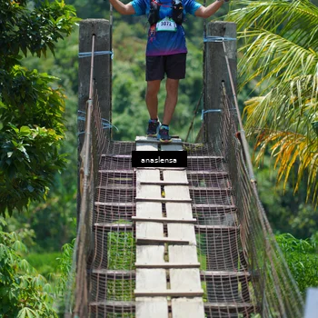 Runner Photo 5204170