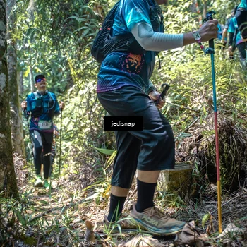 Runner Photo 5204296