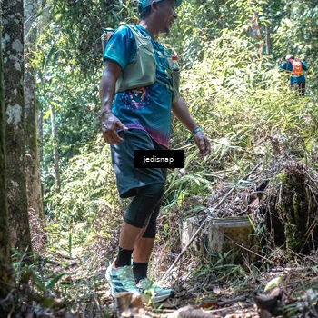 Runner Photo 5206561