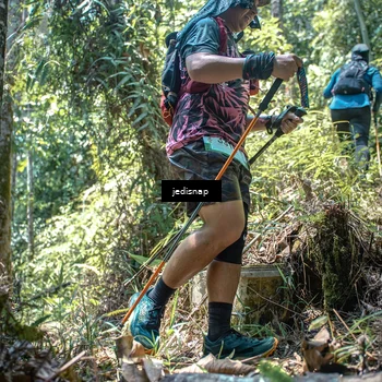 Runner Photo 5206731