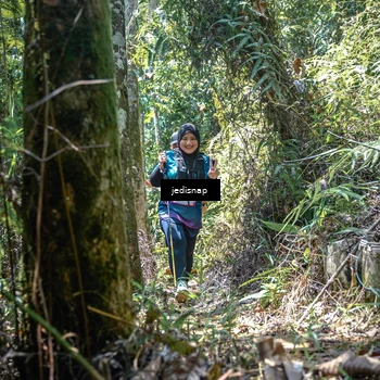 Runner Photo 5206768