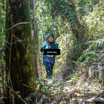Runner Photo 5206777