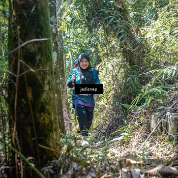 Runner Photo 5206786