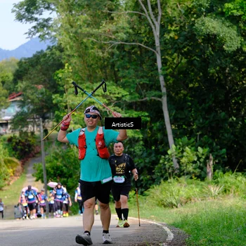 Runner Photo 5206829
