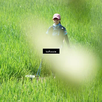 Runner Photo 5208161