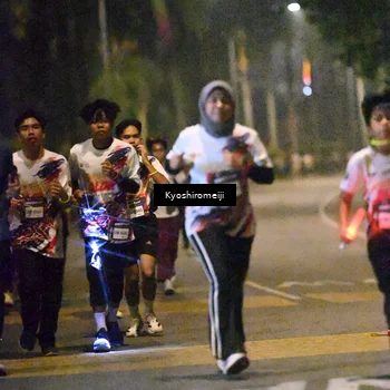 Runner Photo 5208208