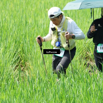 Runner Photo 5208219
